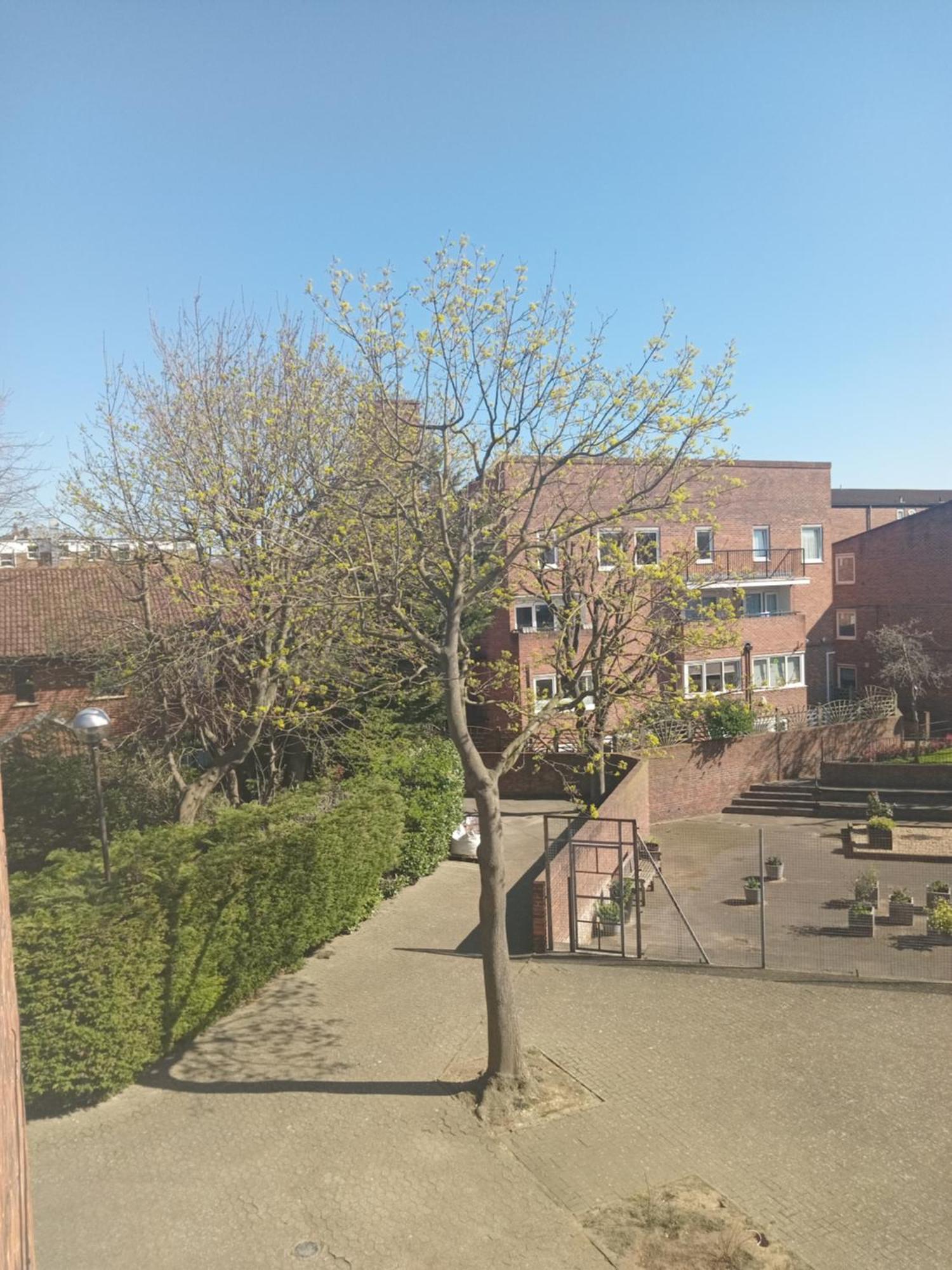 Double Bedroom At Kings Cross Gasthof